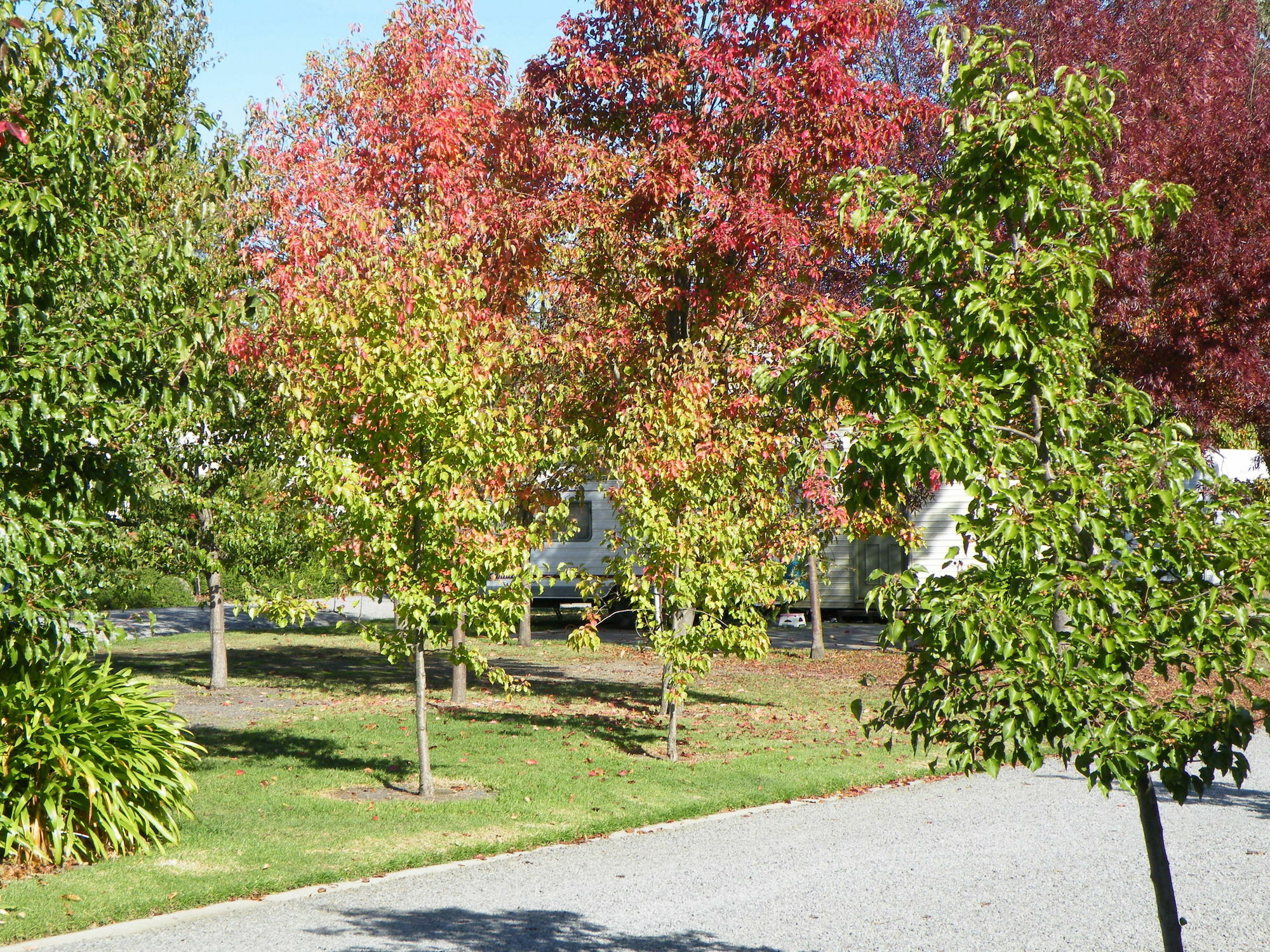 Lake Hamilton Motor Village And Caravan Park Екстериор снимка